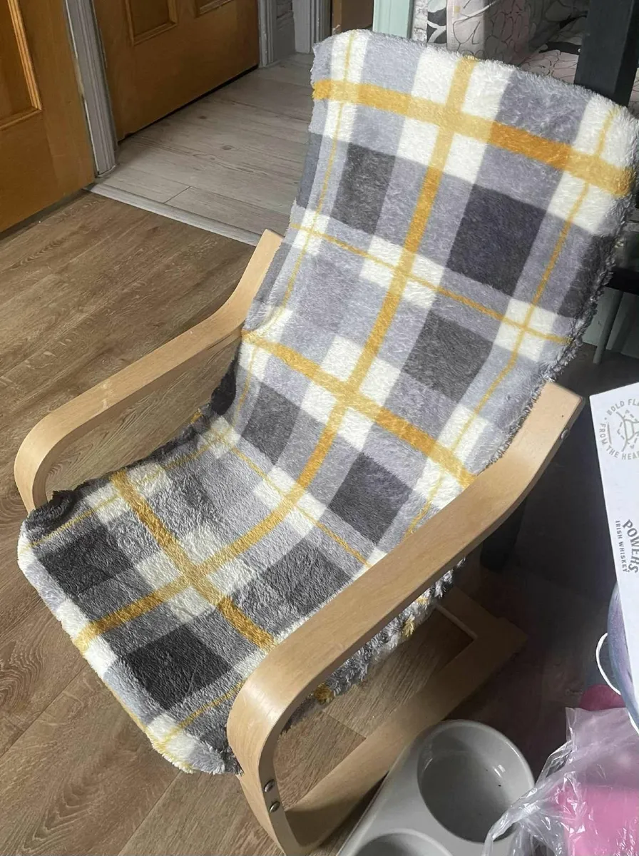 cat  and dog accessories - Image 3