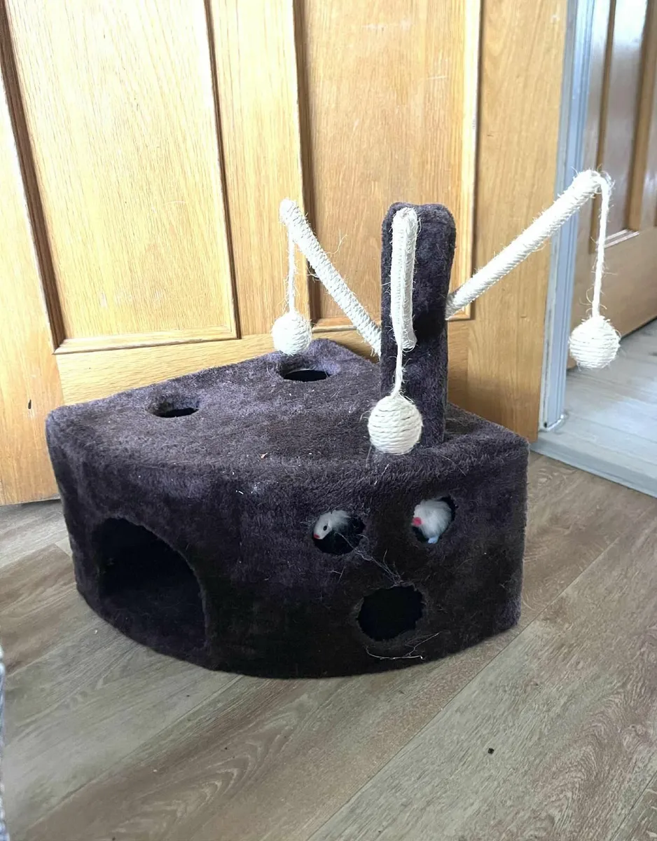 cat  and dog accessories - Image 4