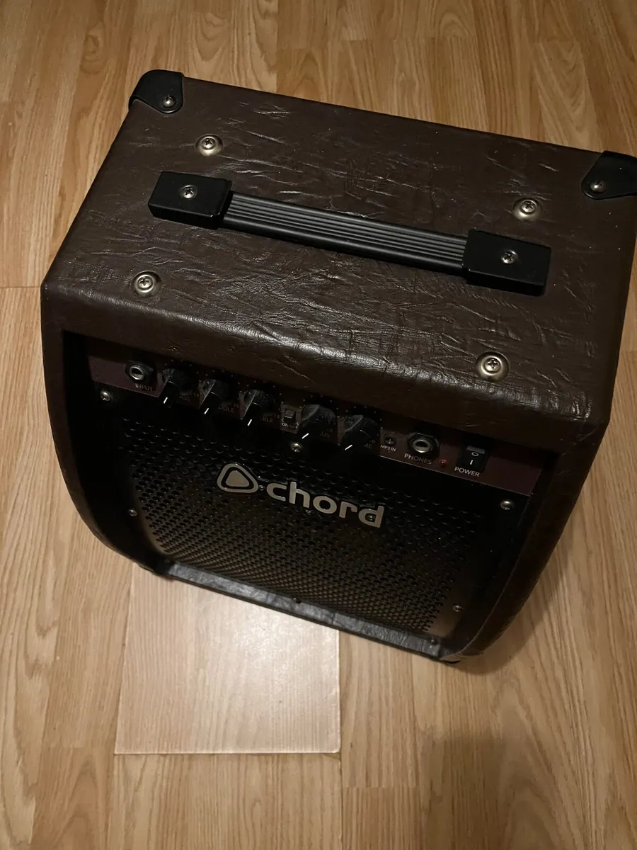 Guitar Amp (Electro-acoustic) - Image 1