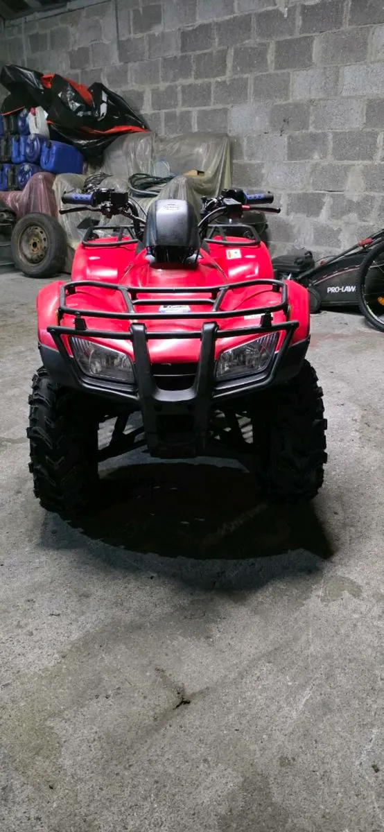 Honda TRX250 2019 *LOW HOURS * - Image 3