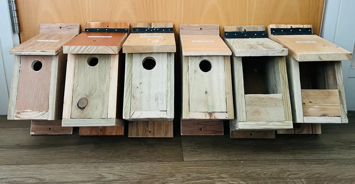 Bird Nest Boxes - Image 2