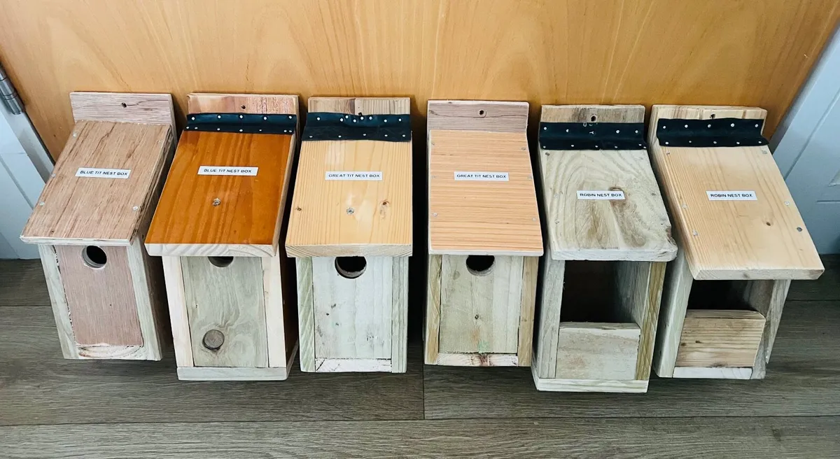 Bird Nest Boxes - Image 3
