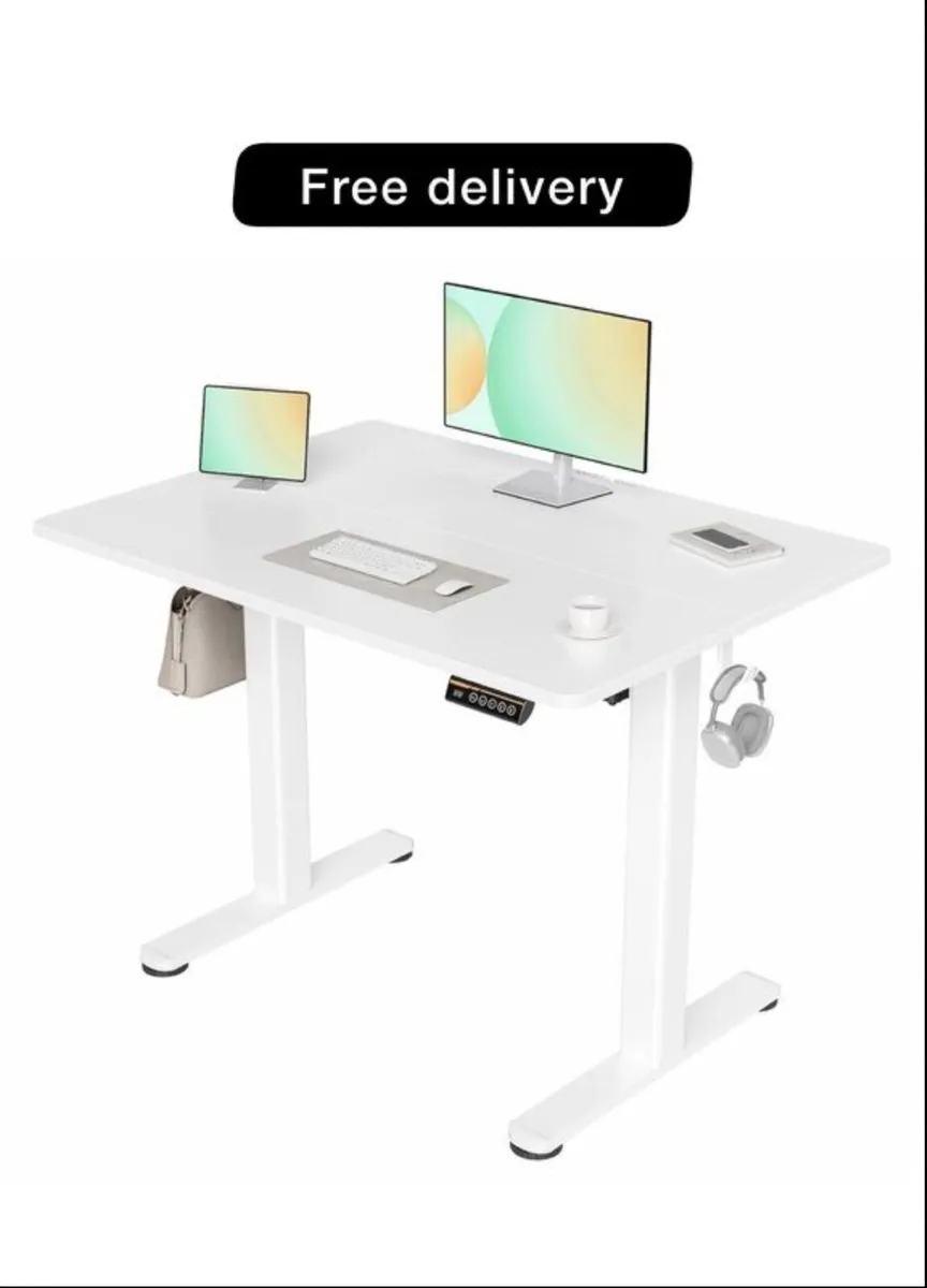 Electric Standing Desk 100x60