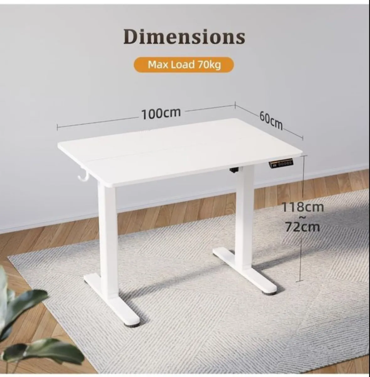 Electric Standing Desk 100x60