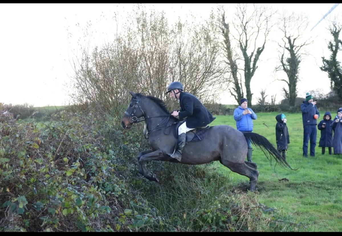 All rounder for sale