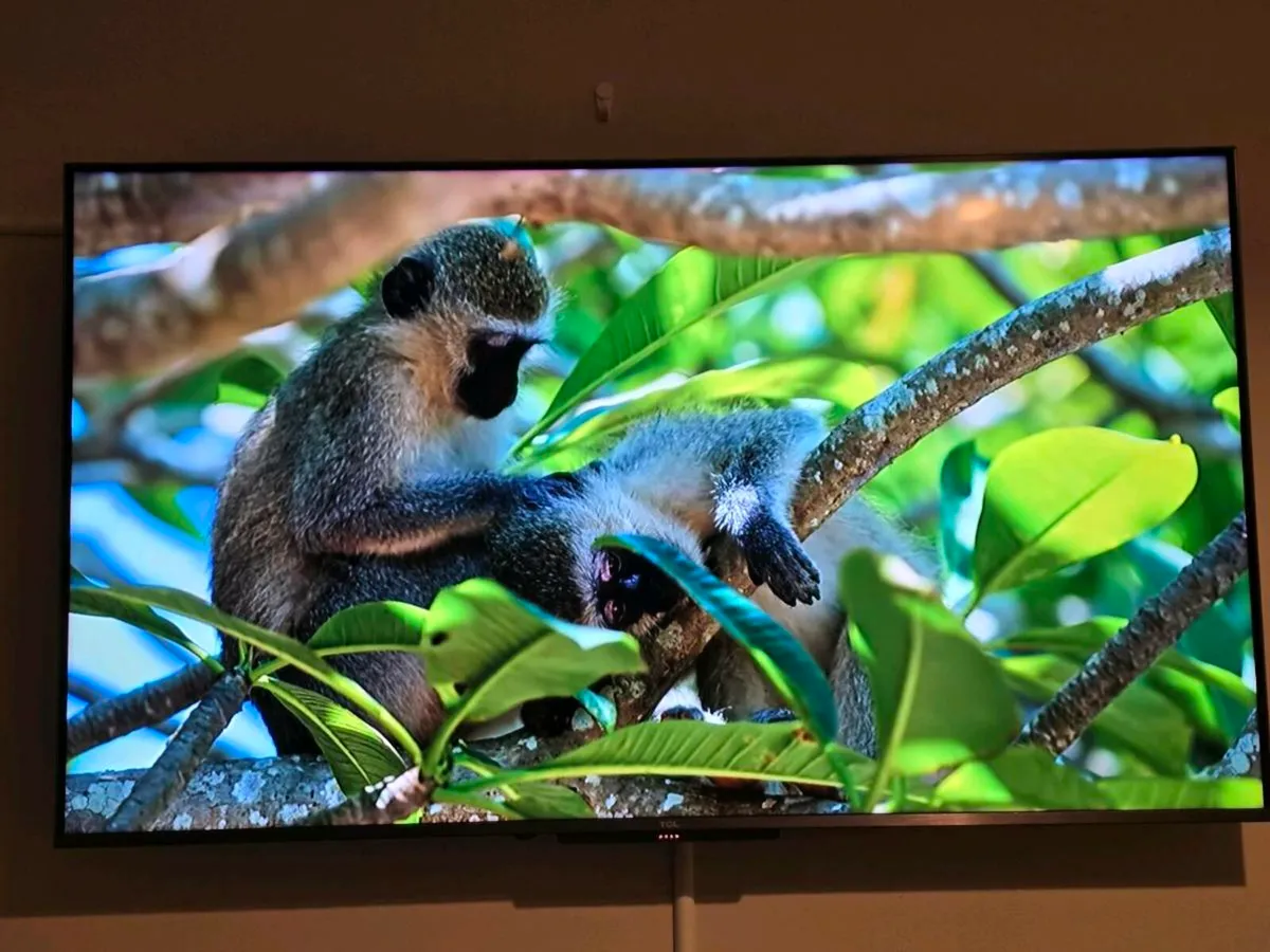 TCL TV Android for sale 50 Inch QLED - Image 3