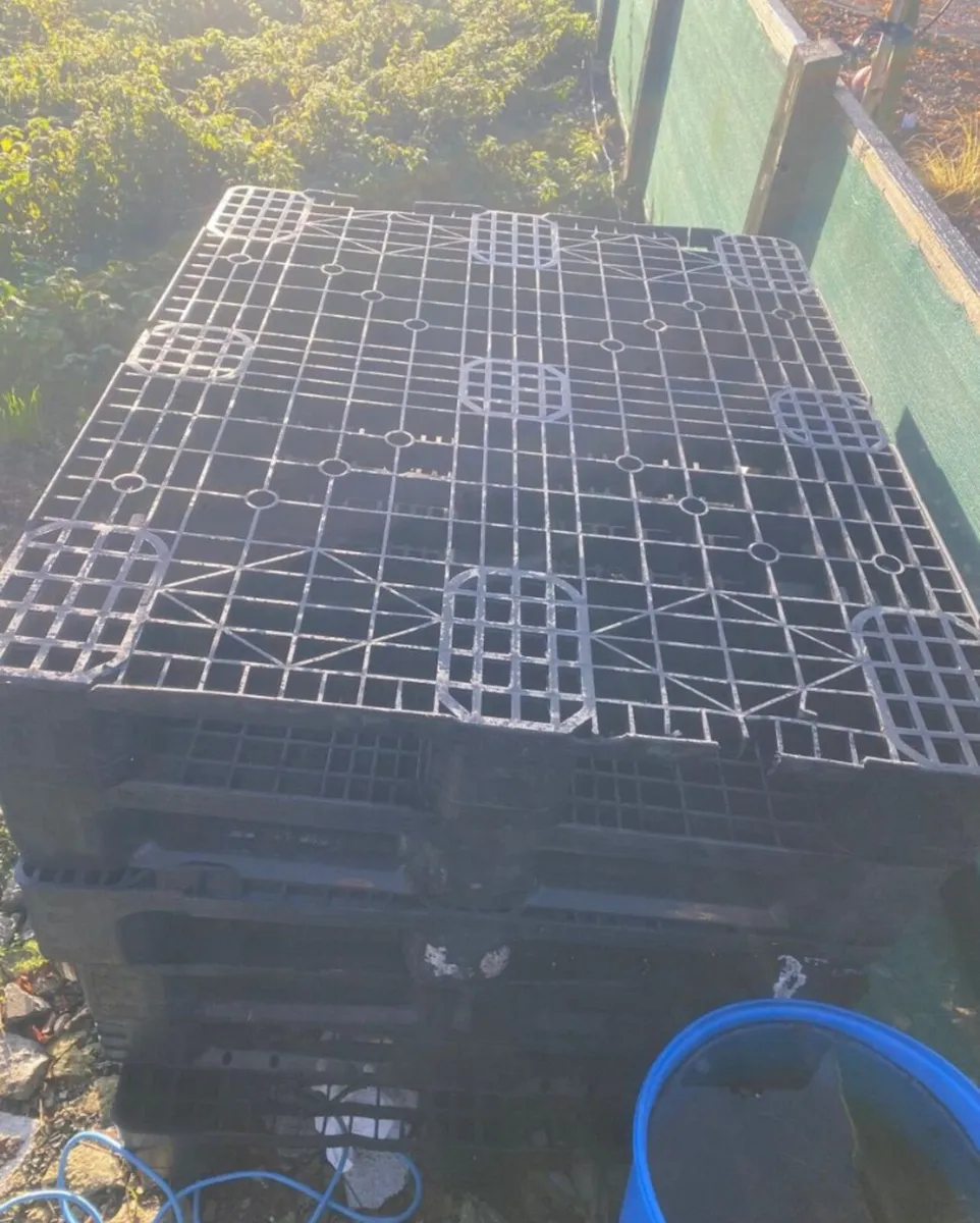 Heavy duty plastic pallets - Image 1