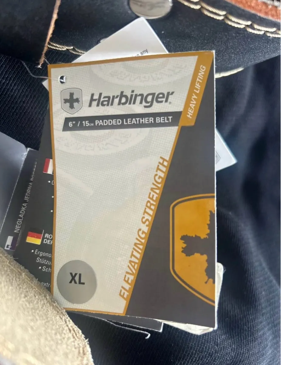 Men's weightlifting belt - Image 4