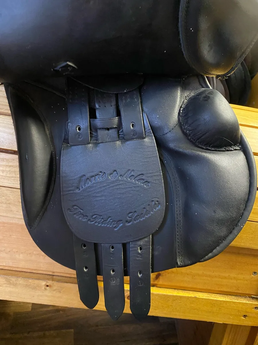 16” Morris and Nolan Black Leather saddle - Image 3