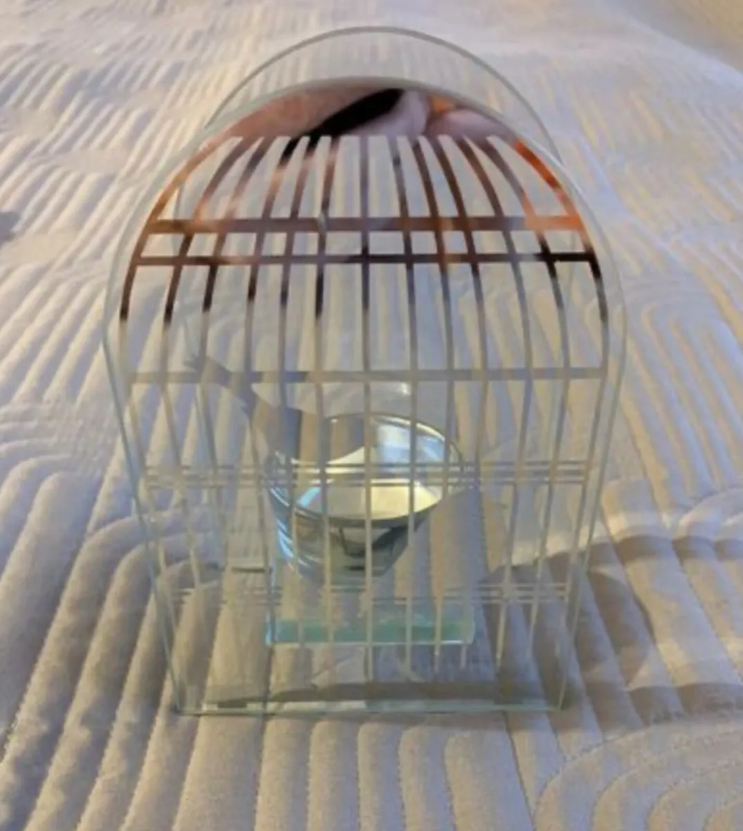 Beautiful Glass Bird Tealight holder - Image 2