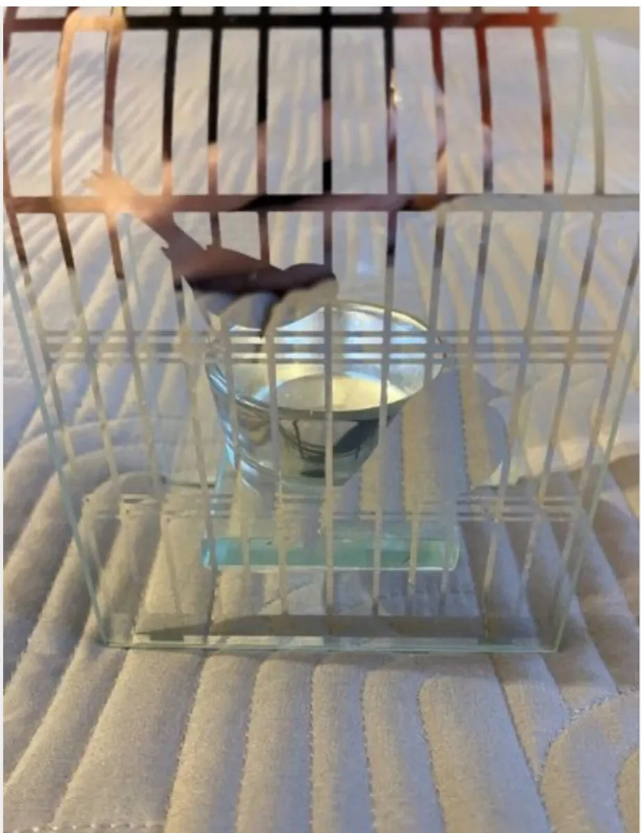 Beautiful Glass Bird Tealight holder - Image 3