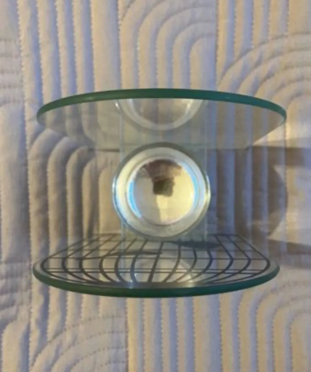 Beautiful Glass Bird Tealight holder - Image 4