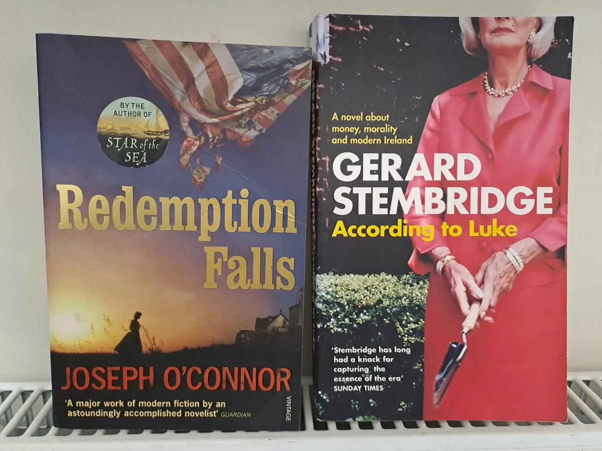 Irish novels by Irish Authors bundle - Image 3