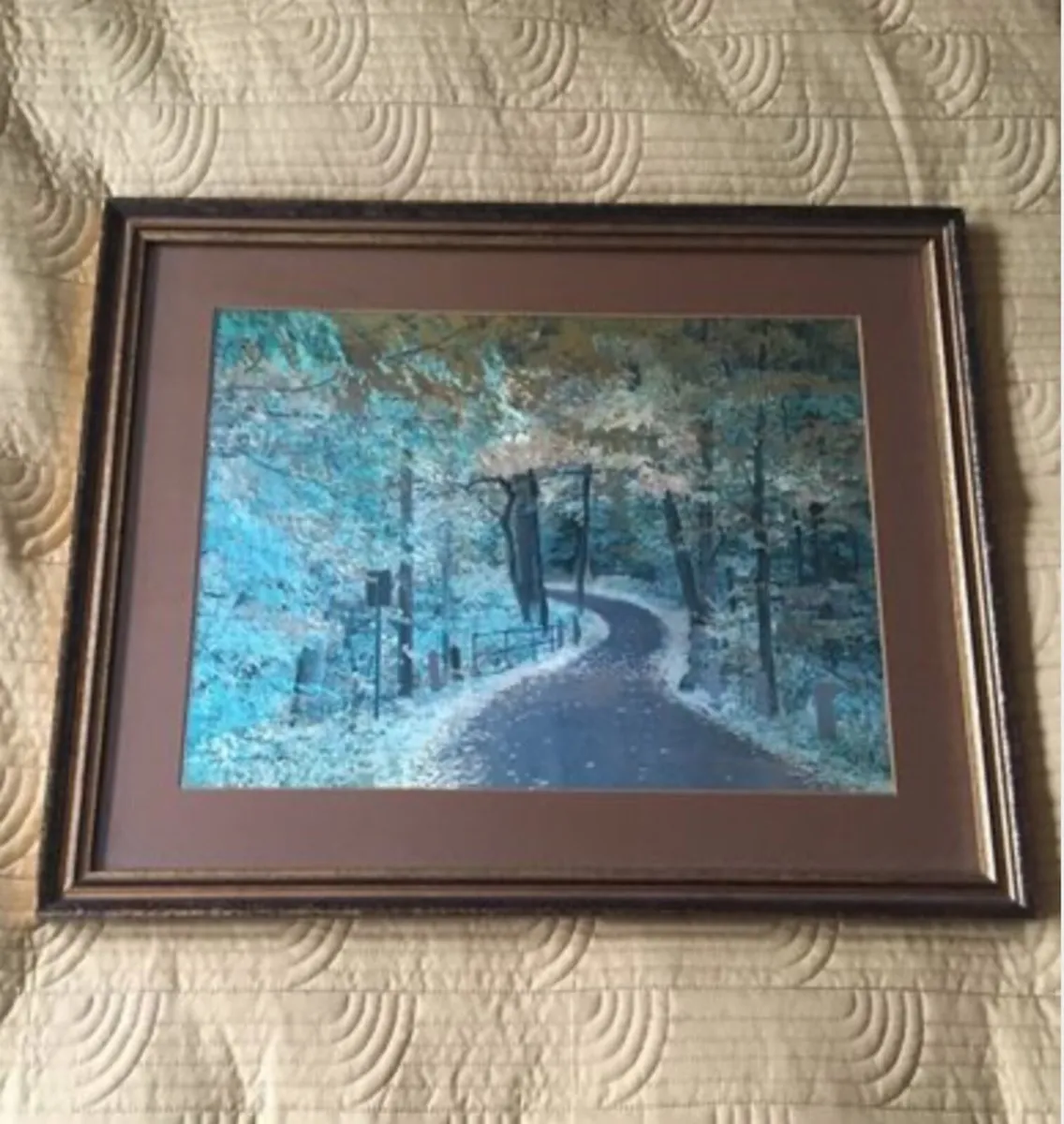 Picture of entrance to forest - Image 1