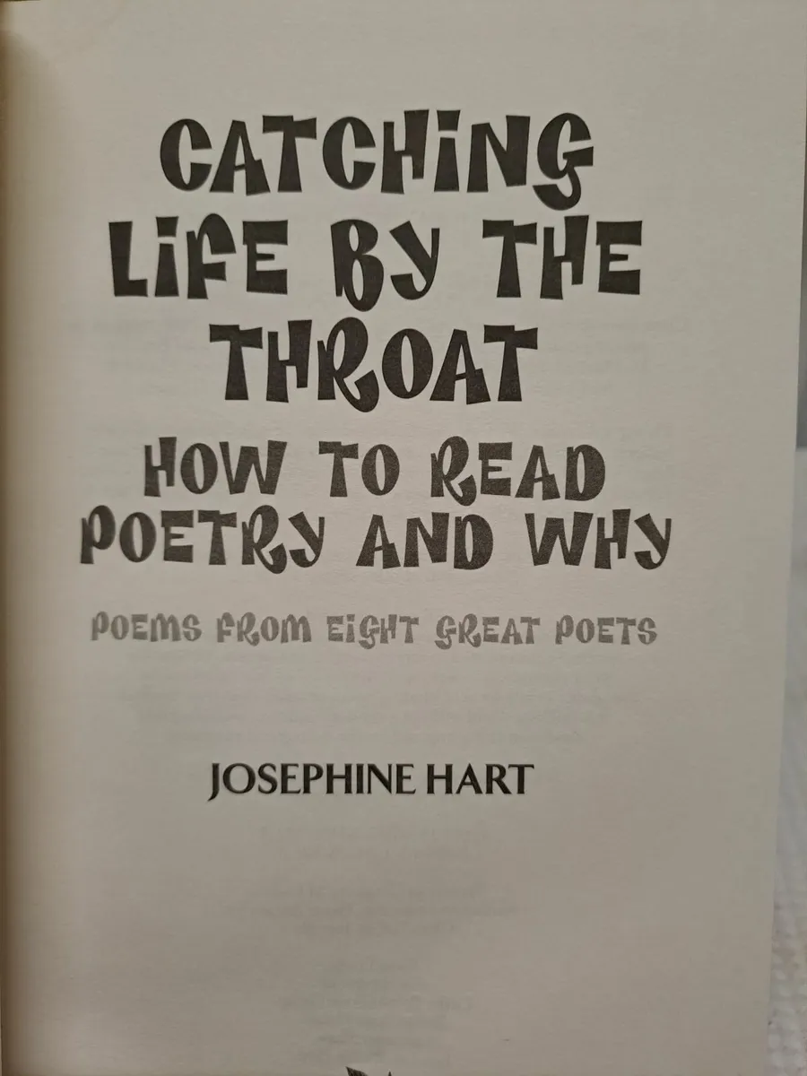 Irish poems and short stories bundle - Image 3