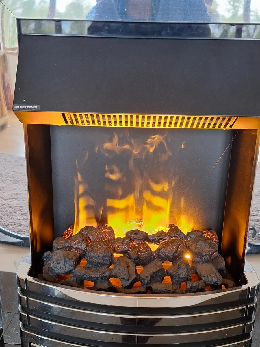 Dimplex insert fire - Image 2