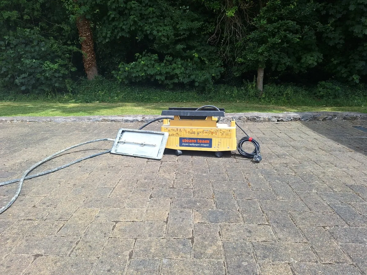 Wallpaper Stripper - Image 2