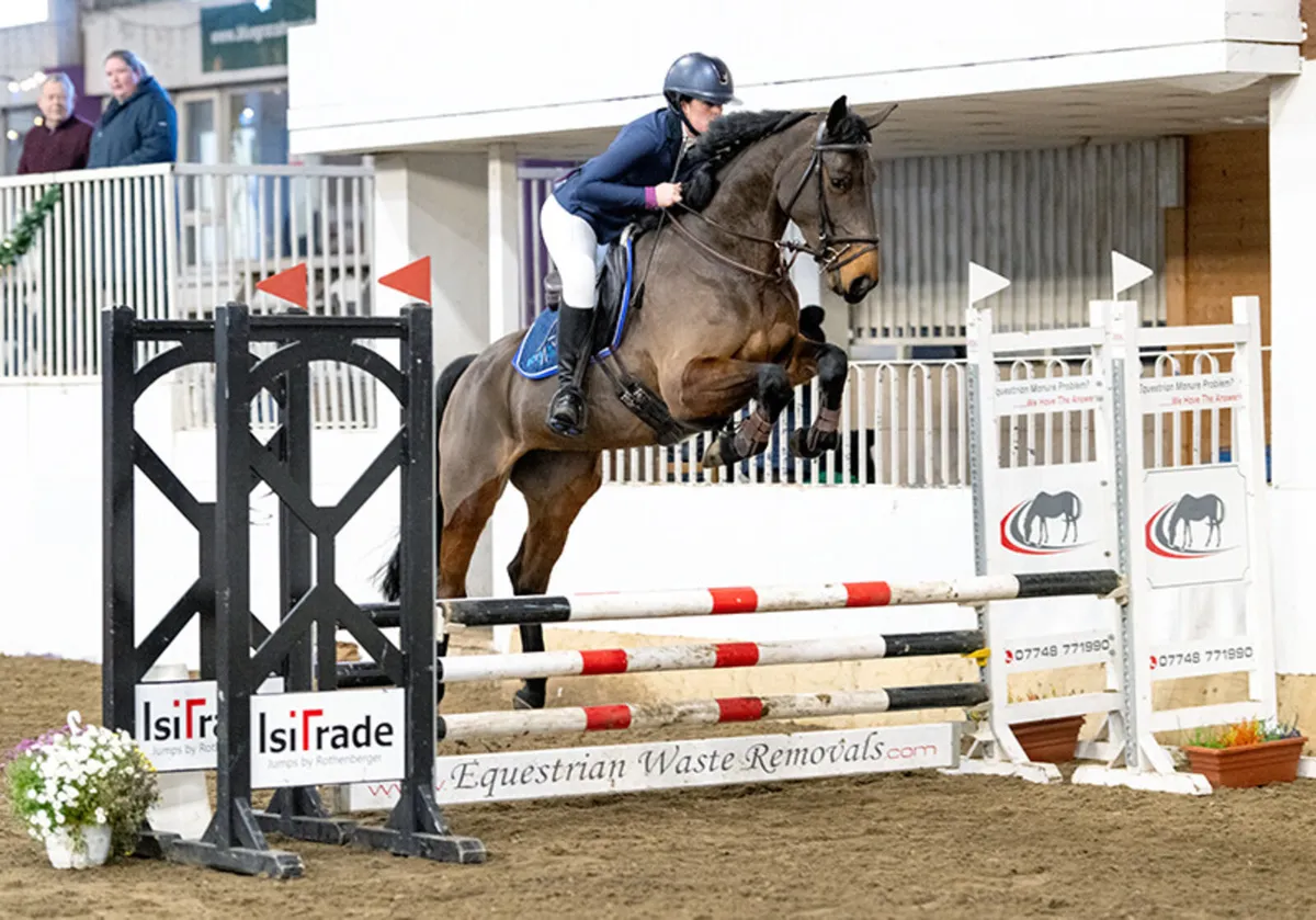15,2 Showjumping mare - Image 3
