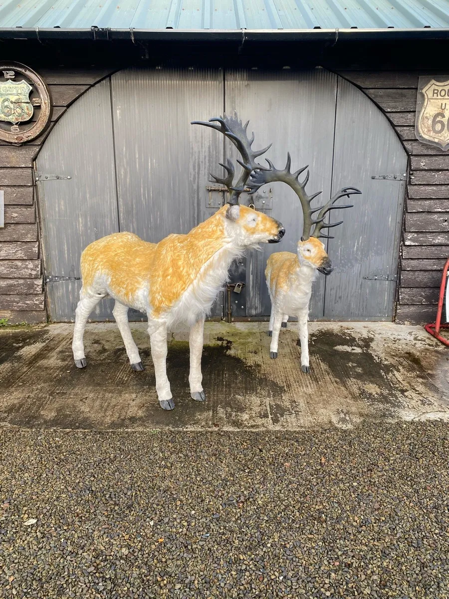 Christmas decorations reindeer life size - Image 1