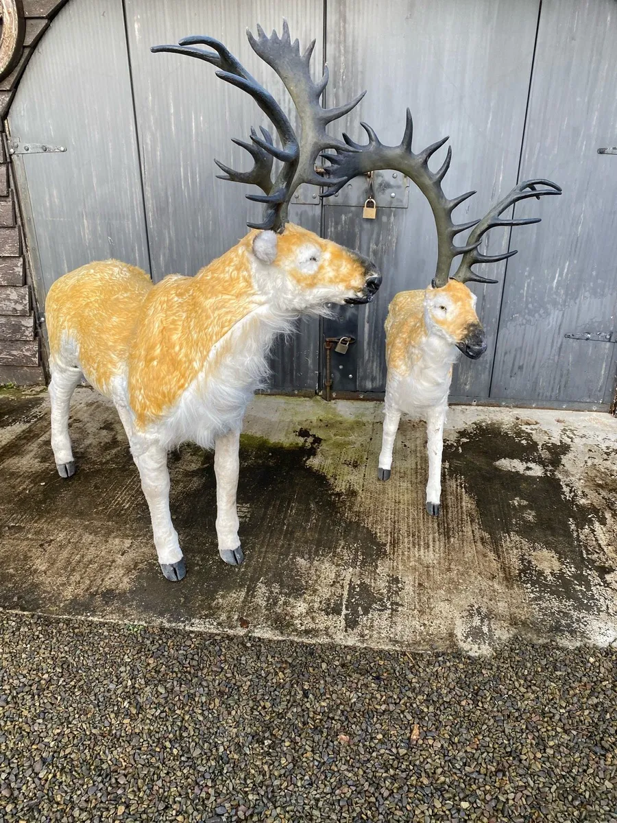 Christmas decorations reindeer life size - Image 2