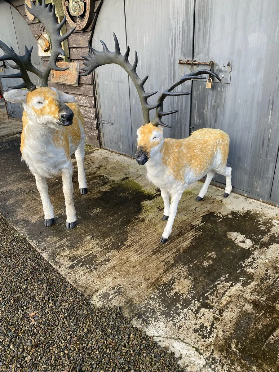 Christmas decorations reindeer life size - Image 3