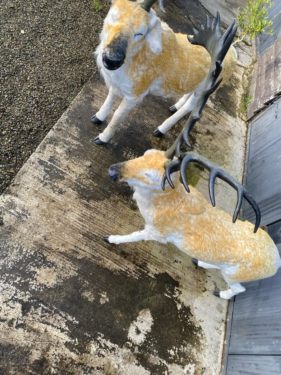 Christmas decorations reindeer life size - Image 4