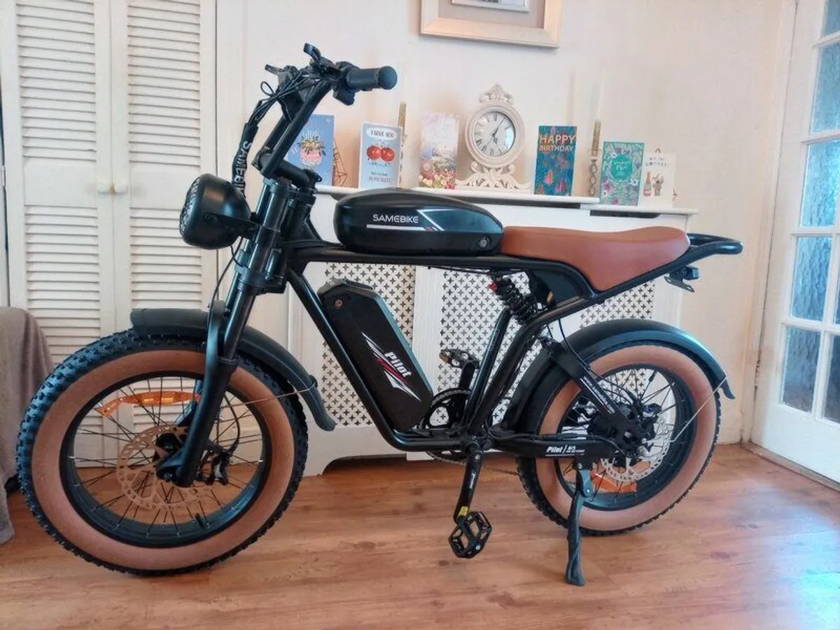 E Cargo Bike - Image 1