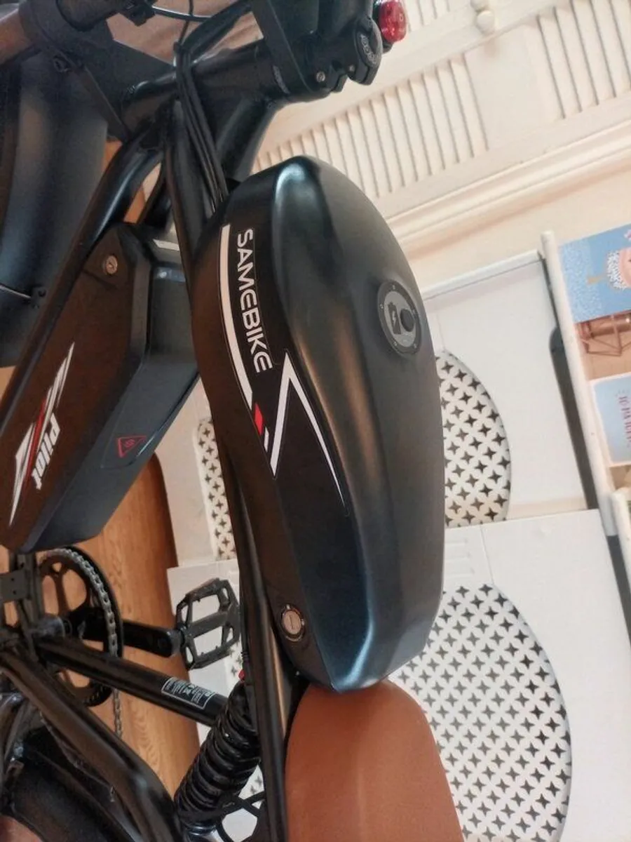 E Cargo Bike - Image 2