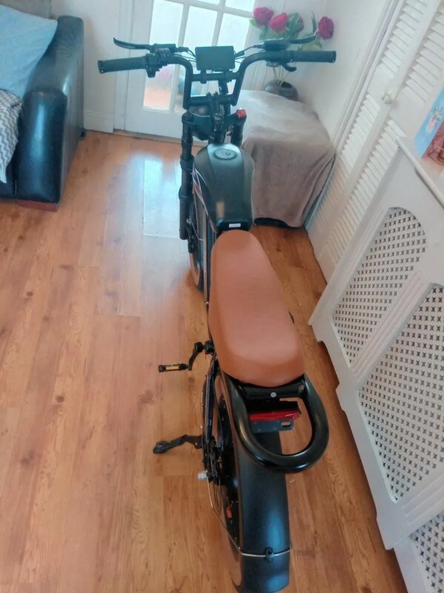 E Cargo Bike - Image 3