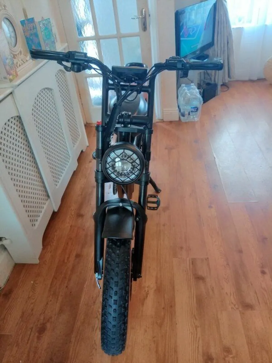 E Cargo Bike - Image 4