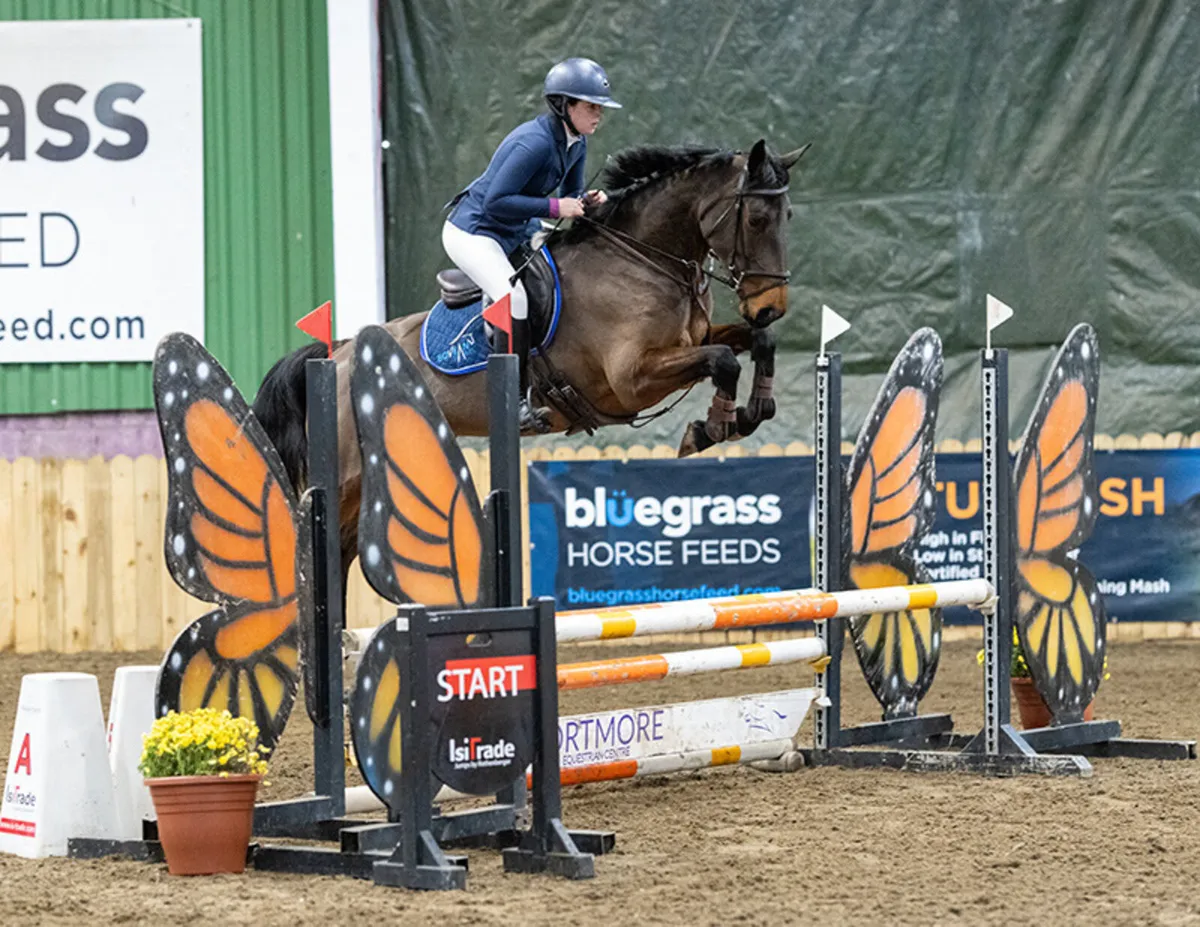 15,2 Showjumping mare - Image 1