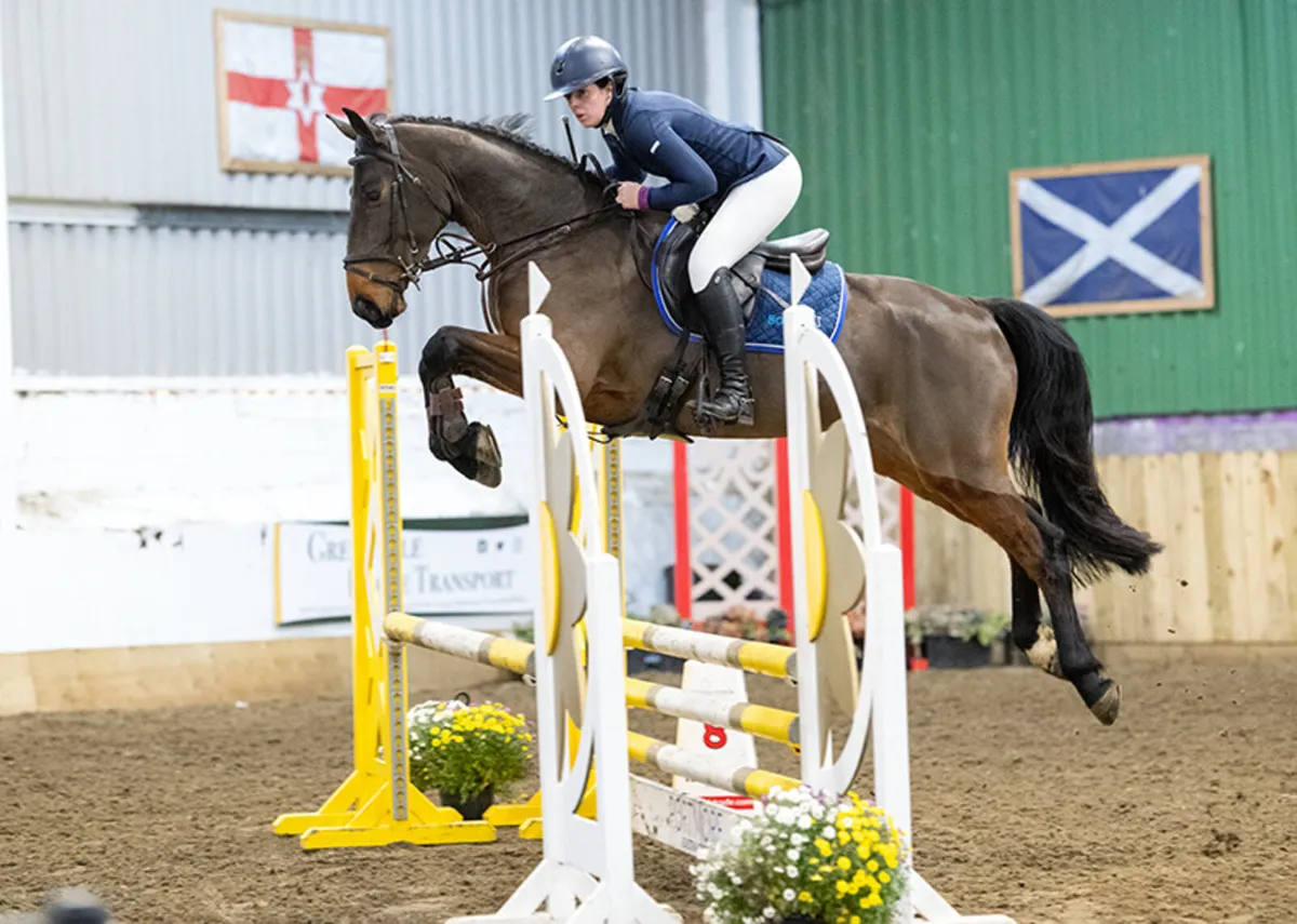 15,2 Showjumping mare - Image 2