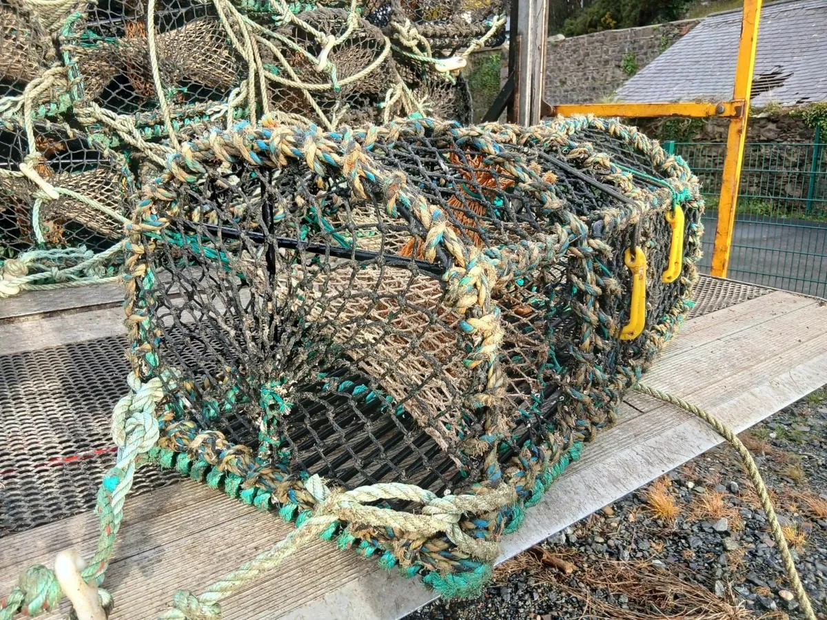 Lobster Pots - Image 4