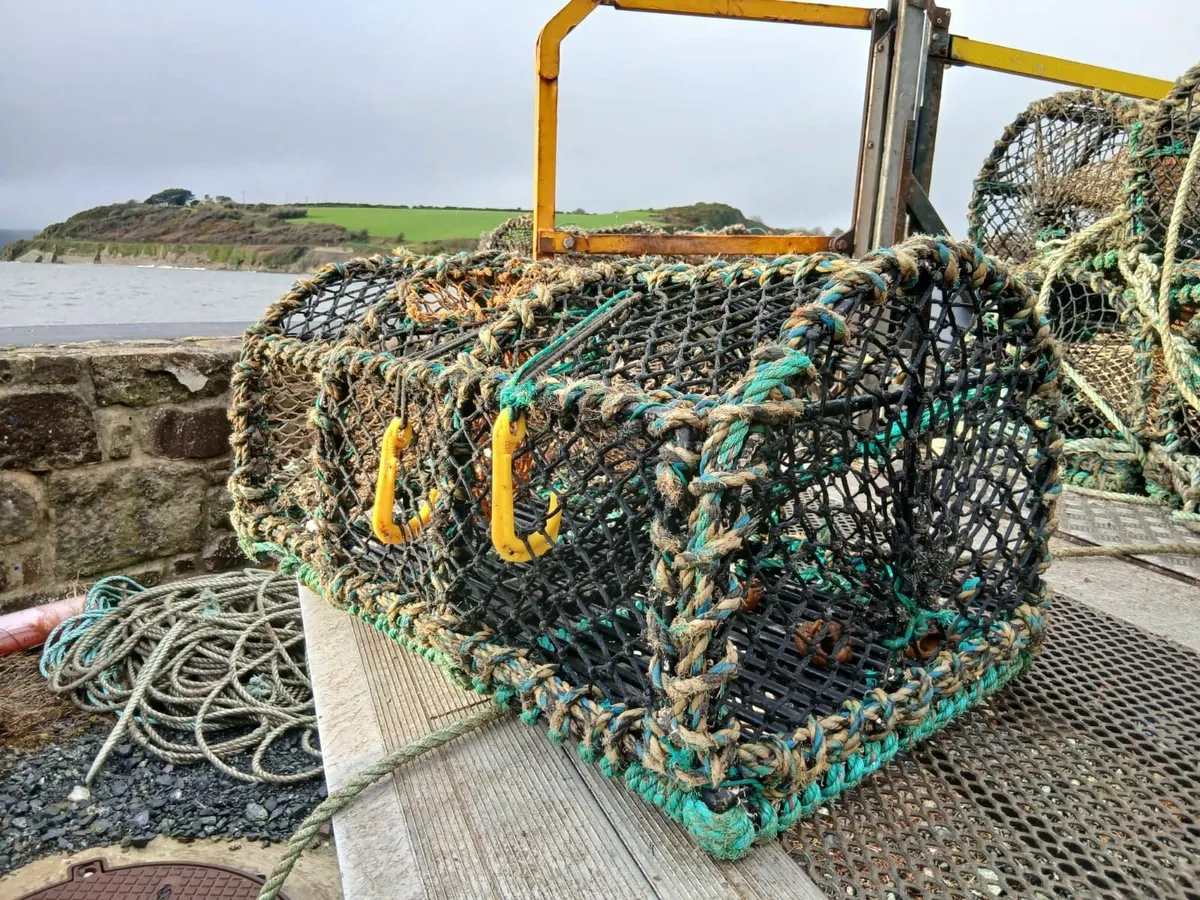 Lobster Pots - Image 1