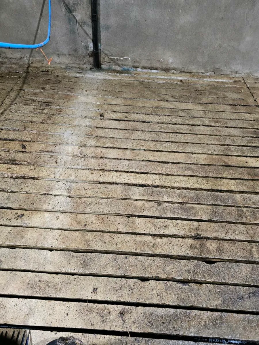 Cattle Slats - Image 3