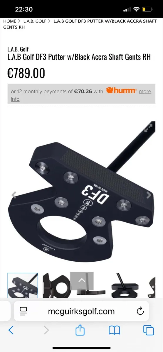 Lab putter - Image 3