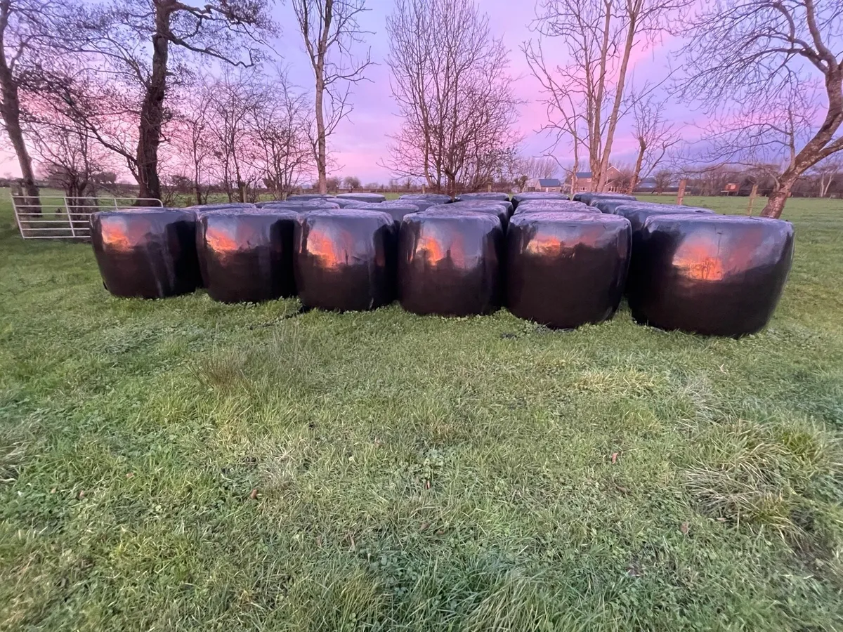 Silage round bales - Image 1