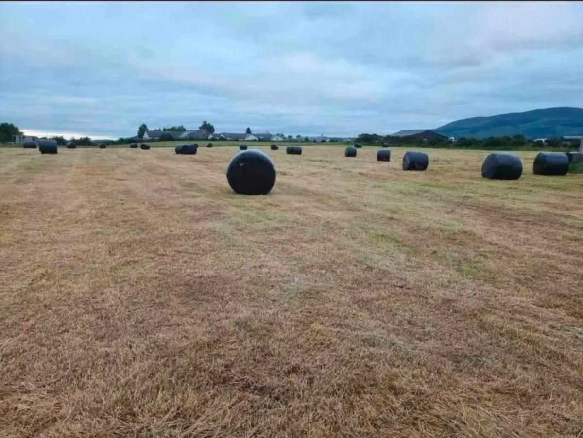Silage Bales - Image 2