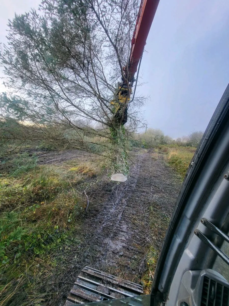 Tree shears work carried out. Frizzell fencing - Image 3
