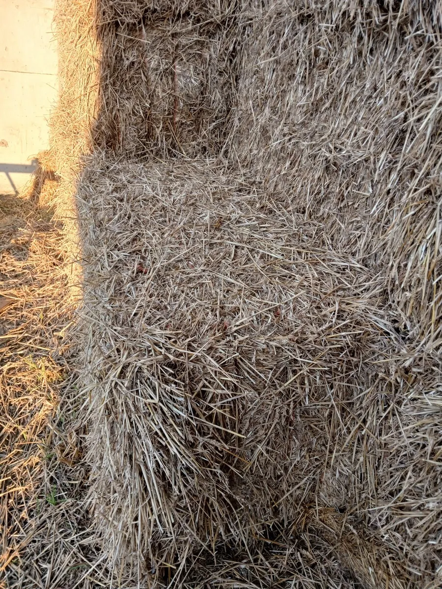 Straw - Image 4