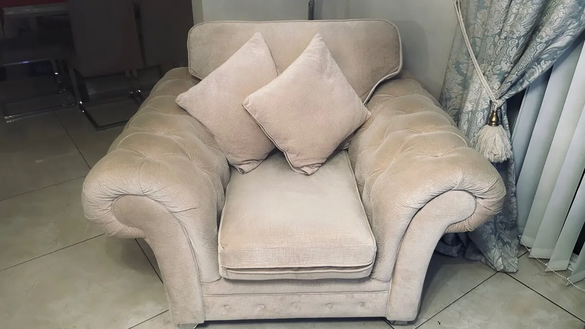 2 seater and 1 seater couch - Image 1
