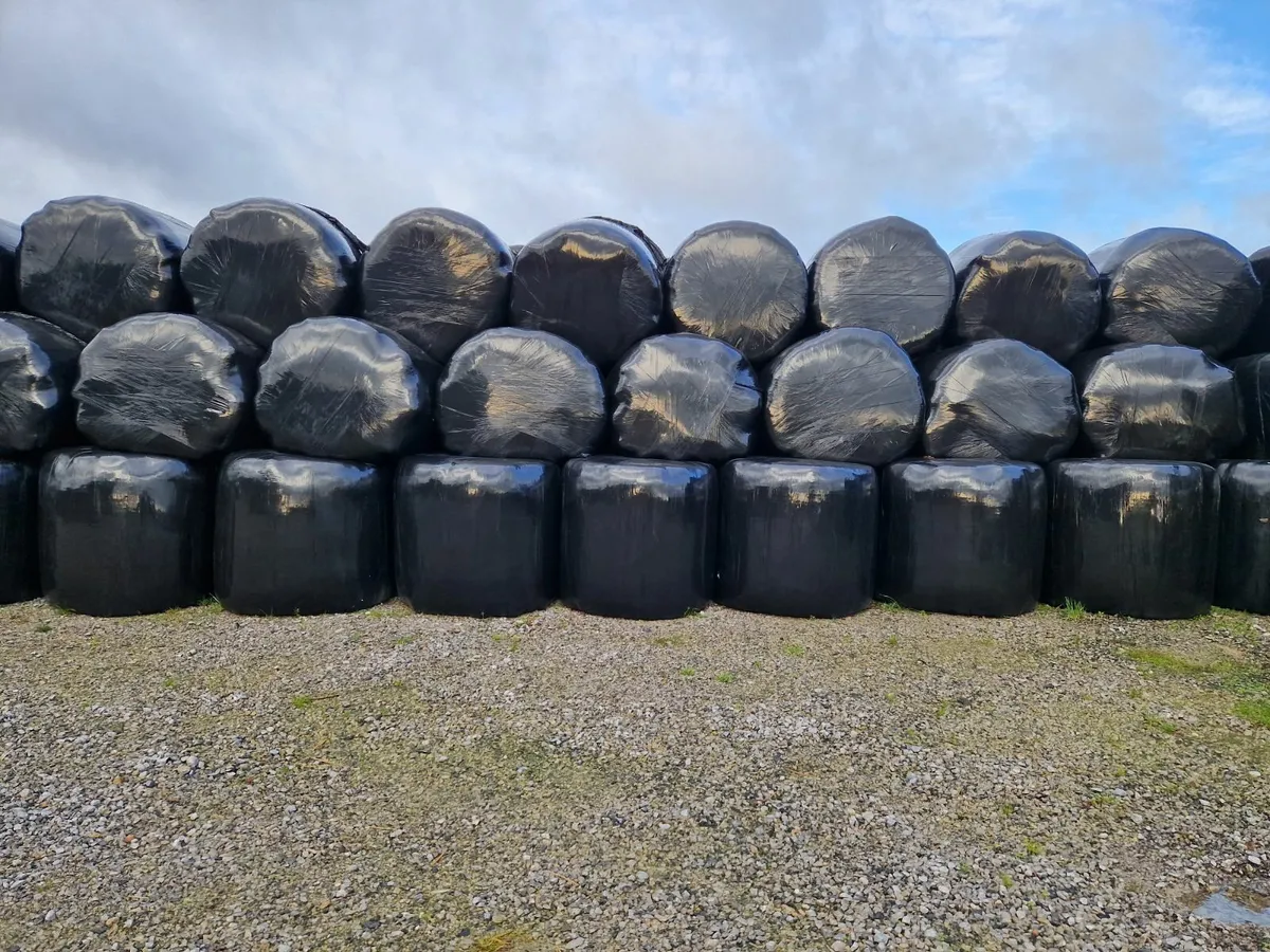 Bales of silage - Image 2