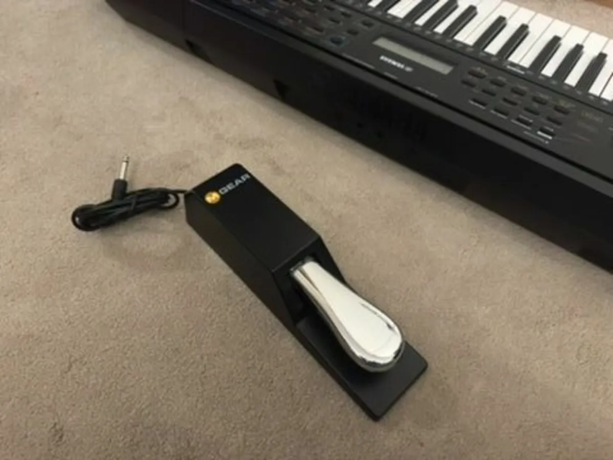Yamaha PSR-E273 keyboard + M-Audio SP-2 pedal - Image 2