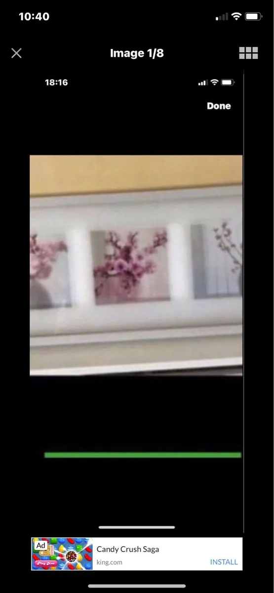 Framed Floral Prints - Image 1