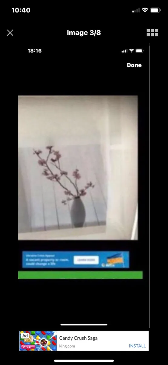 Framed Floral Prints - Image 3