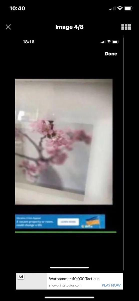 Framed Floral Prints - Image 4