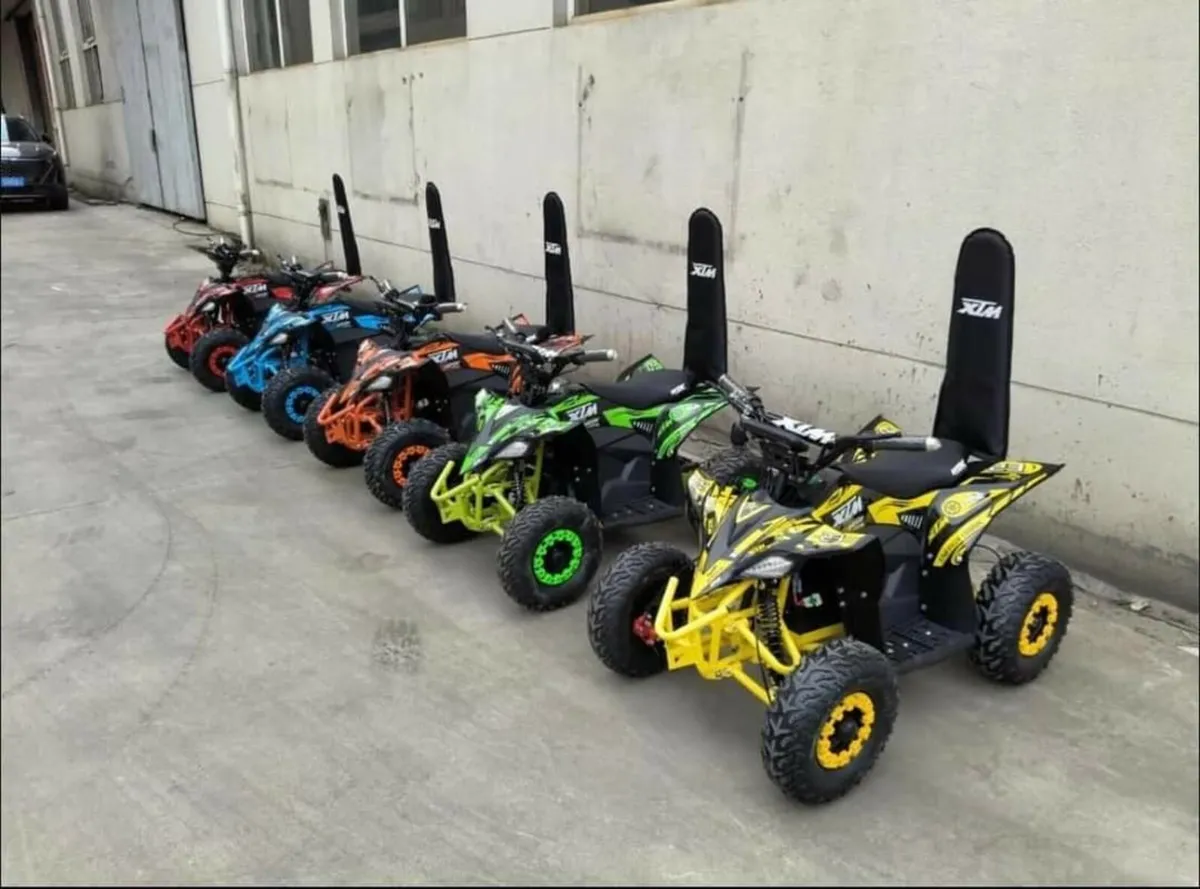 Brand new 50cc 2 stroke petrol engine kids quads - Image 3