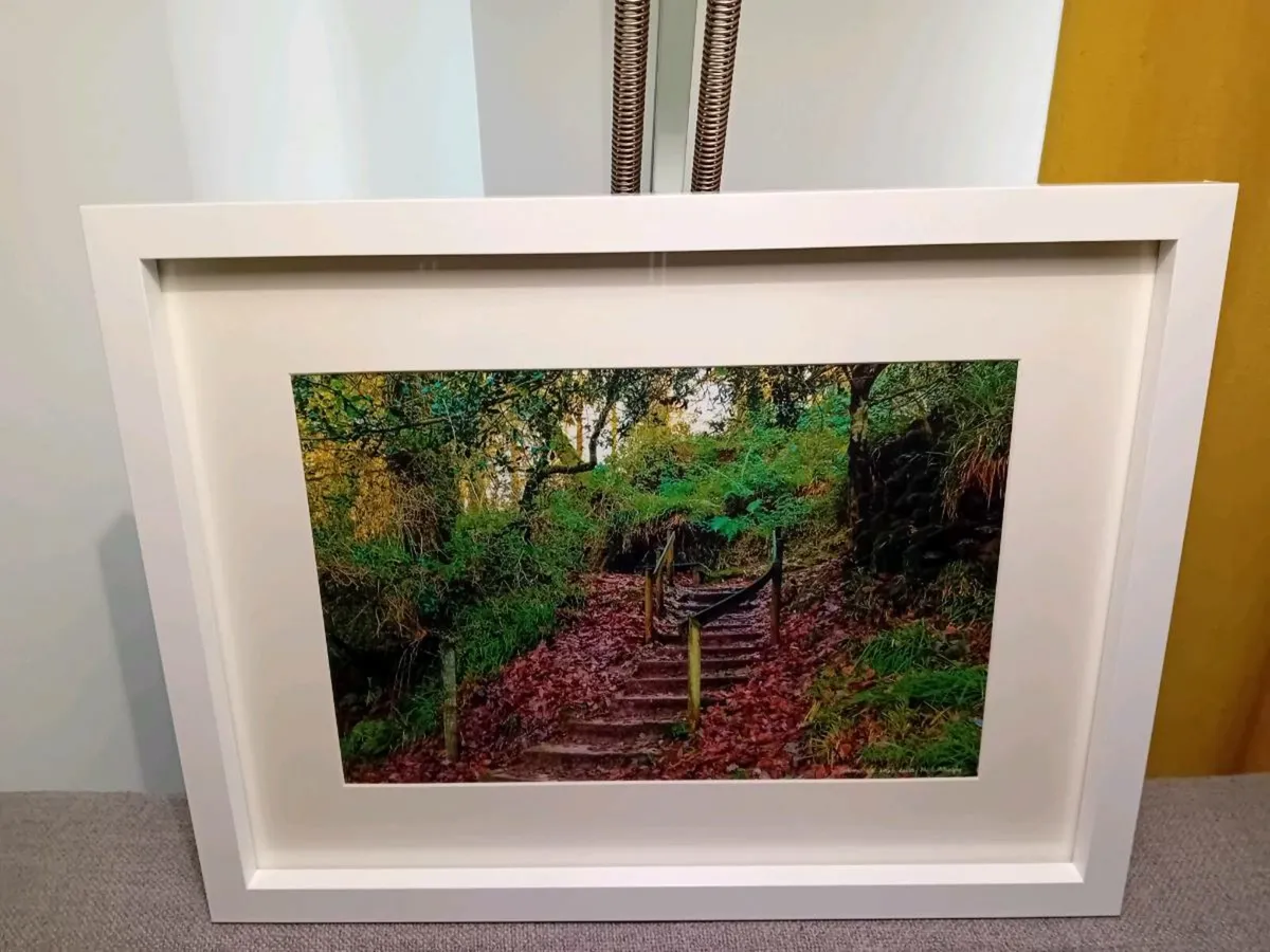 Glenbower Woods - Image 2