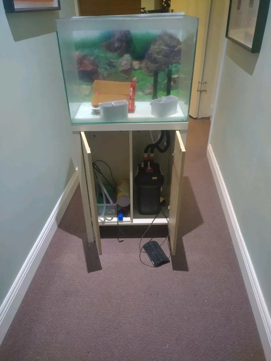 Fish tank - Image 1