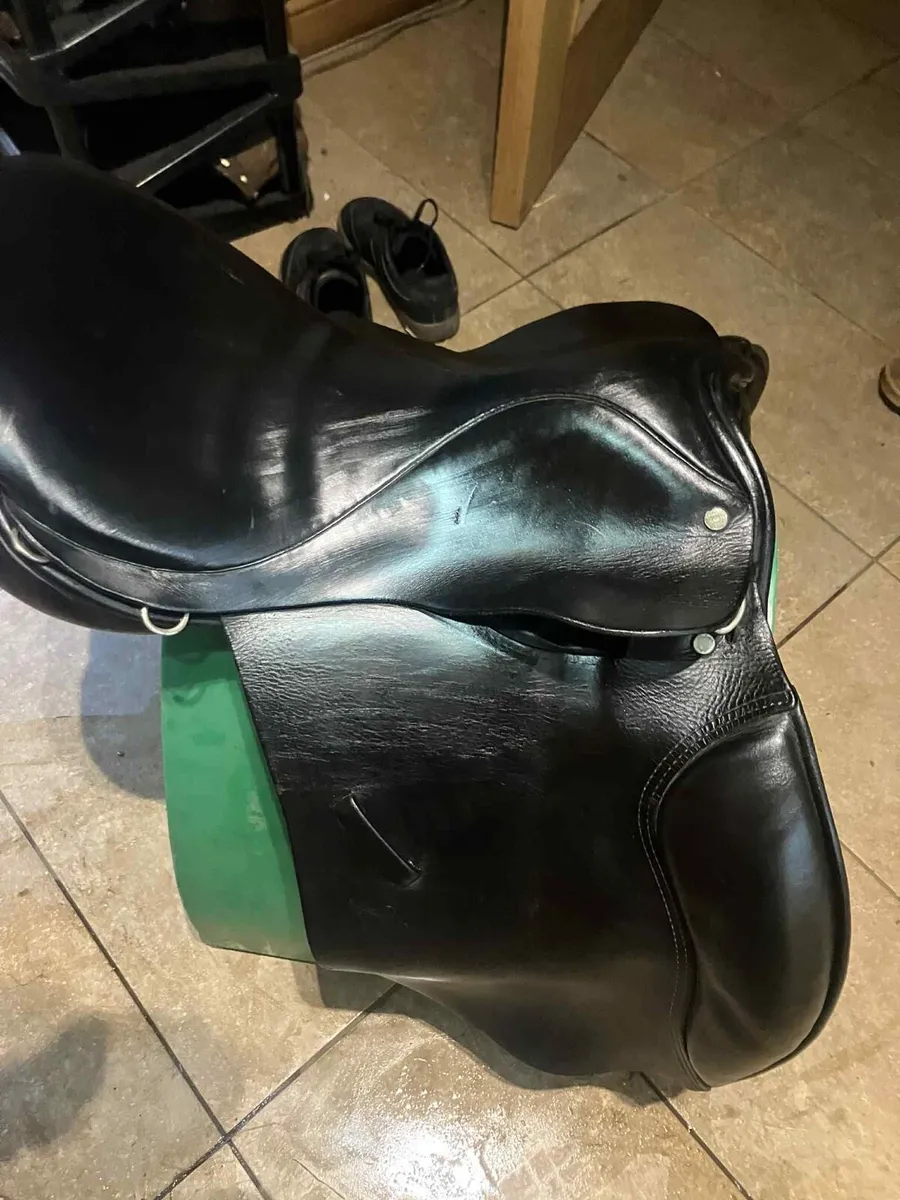Champion 17.5 gp saddle - Image 3